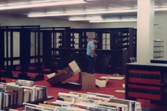Book Shelves