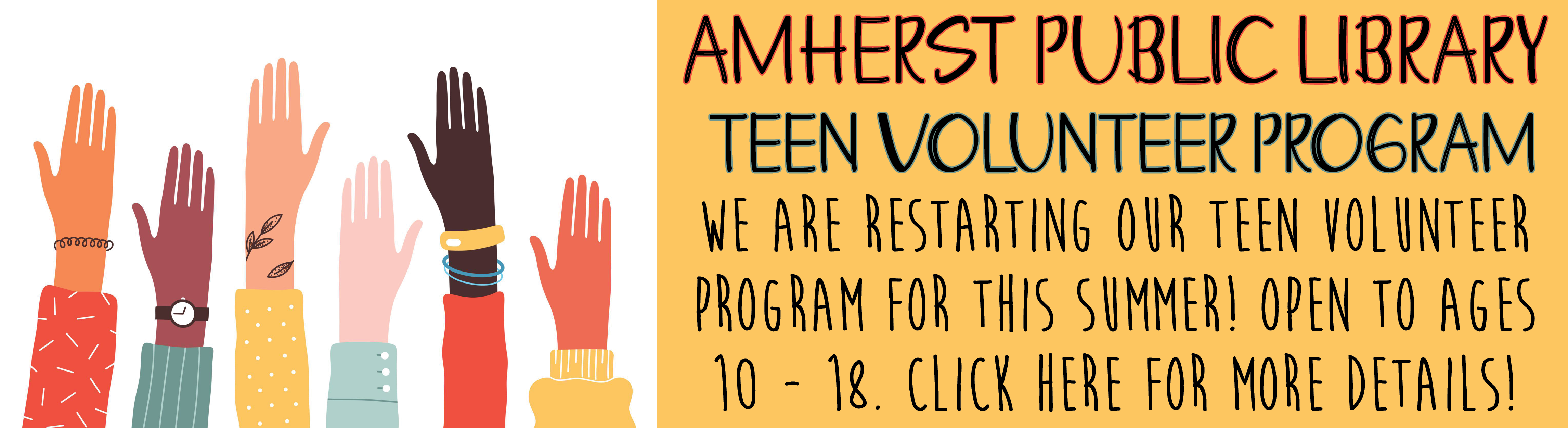 Teen Volunteer Program