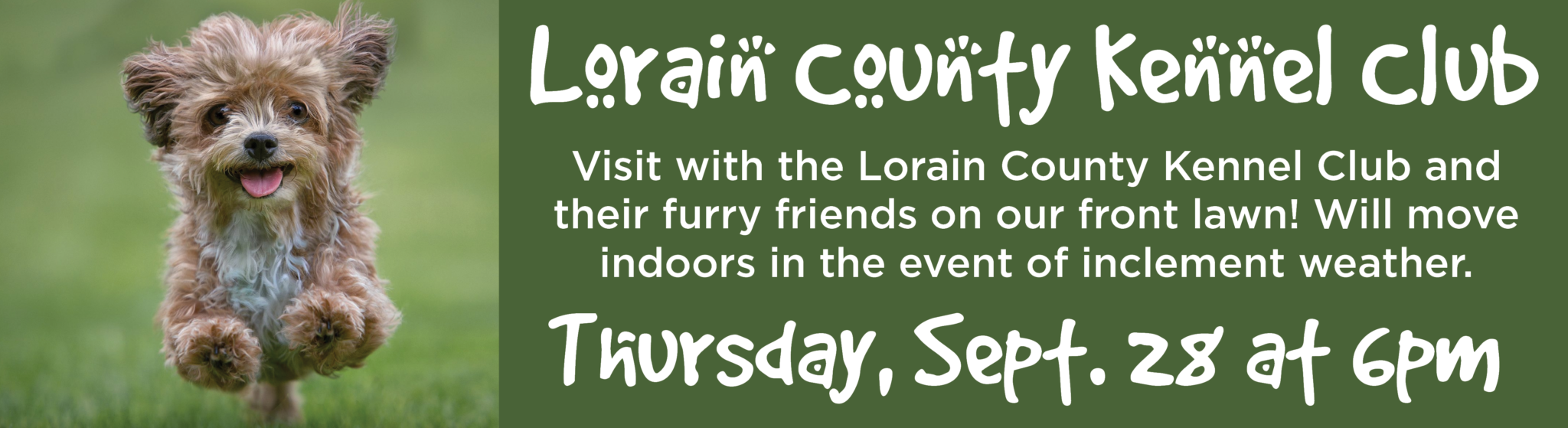 What’s Happening Amherst Public Library