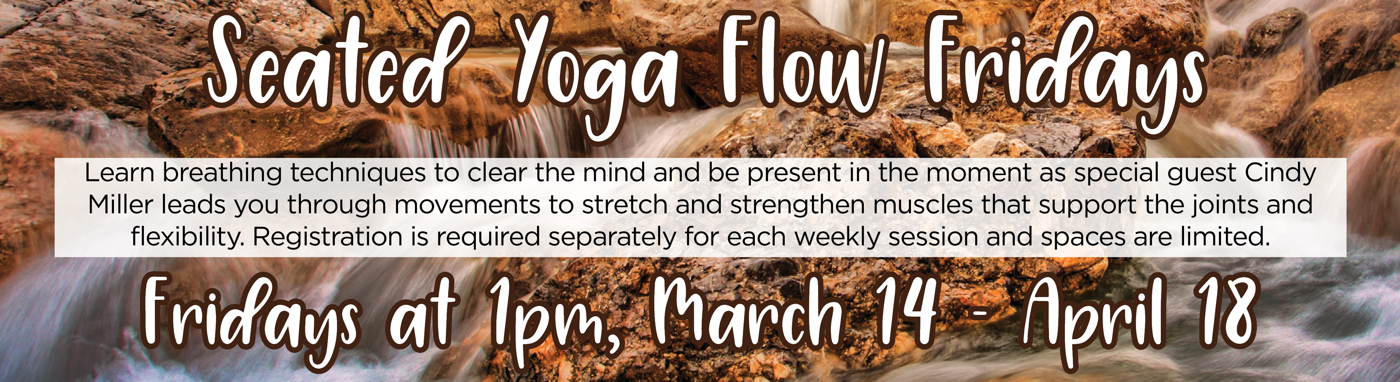 Seated Flow Yoga Fridays