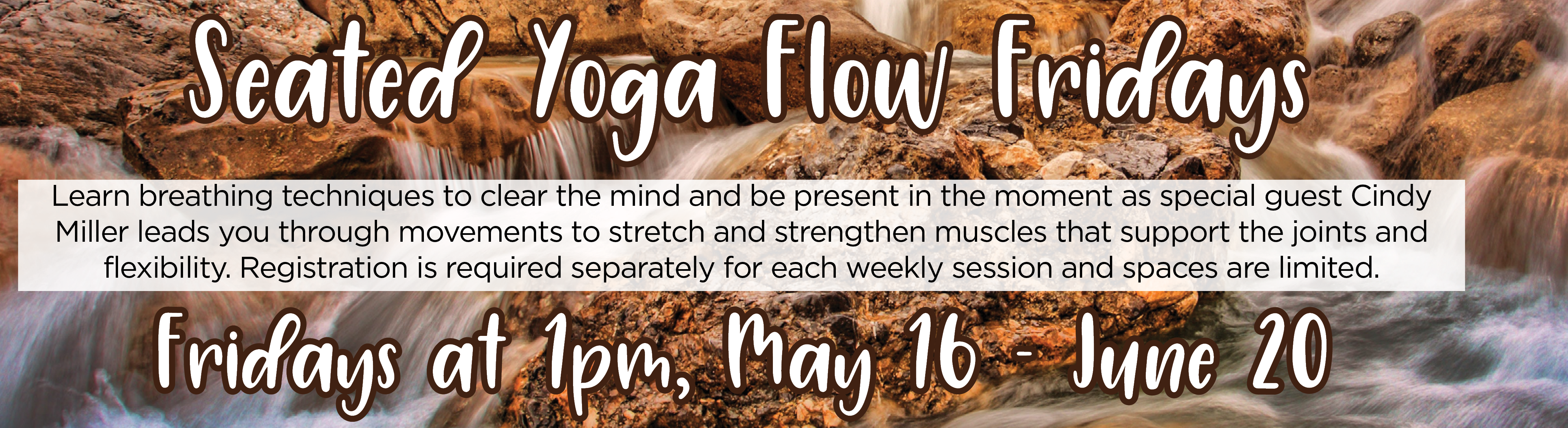 Seated Yoga Flow Fridays