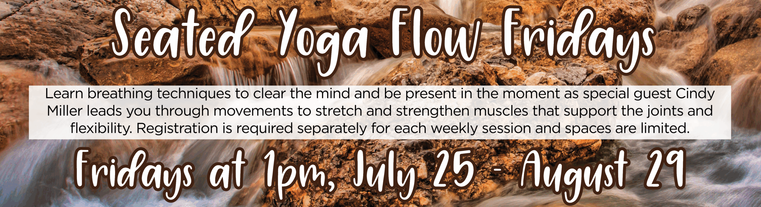 Seated Flow Yoga Fridays