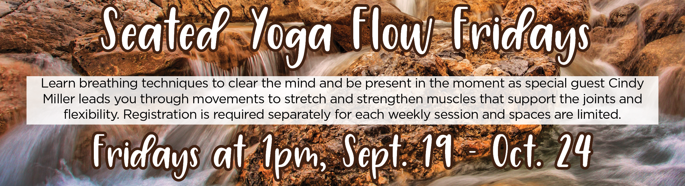 Seated Yoga Flow Fridays