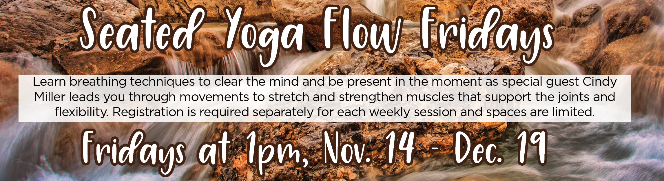 Seated Yoga Flow Fridays