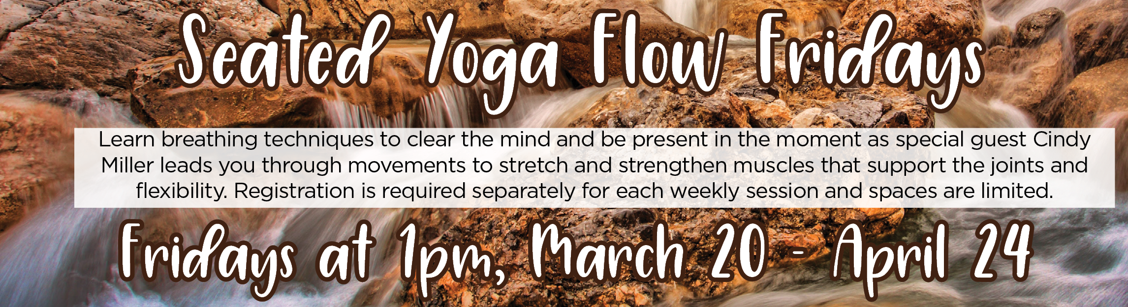 Seated Yoga Flow Fridays