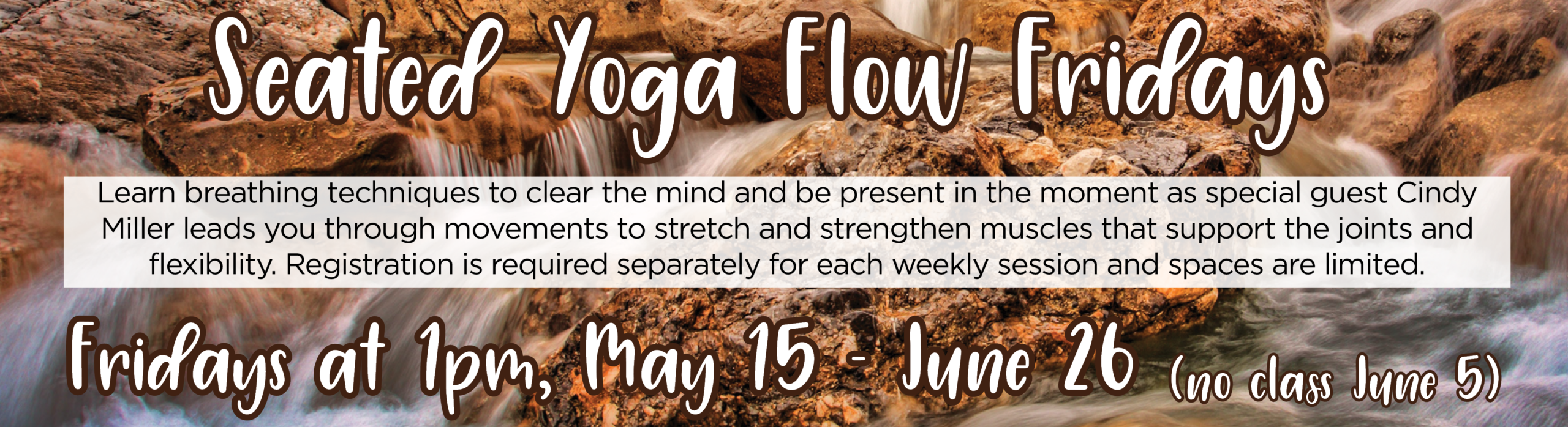 Seated Yoga Flow Fridays