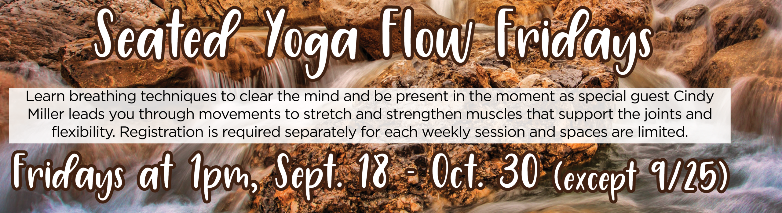 Seated Yoga Flow Fridays
